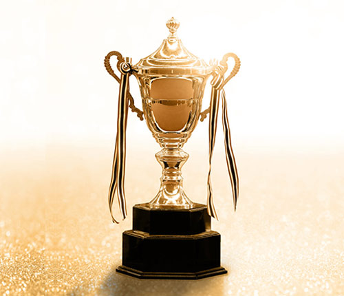 資質(zhì)優(yōu)勢