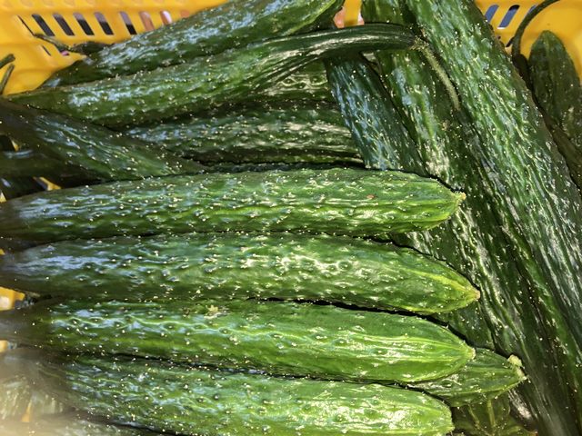 酒店蔬菜凈菜配送工廠(chǎng)有哪些