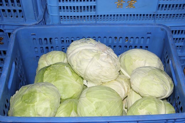 東莞首宏公司蔬菜配送價(jià)格表 2026-03-09