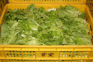 隨時(shí)隨地享受新鮮蔬菜，讓新鮮蔬菜就在家門(mén)口