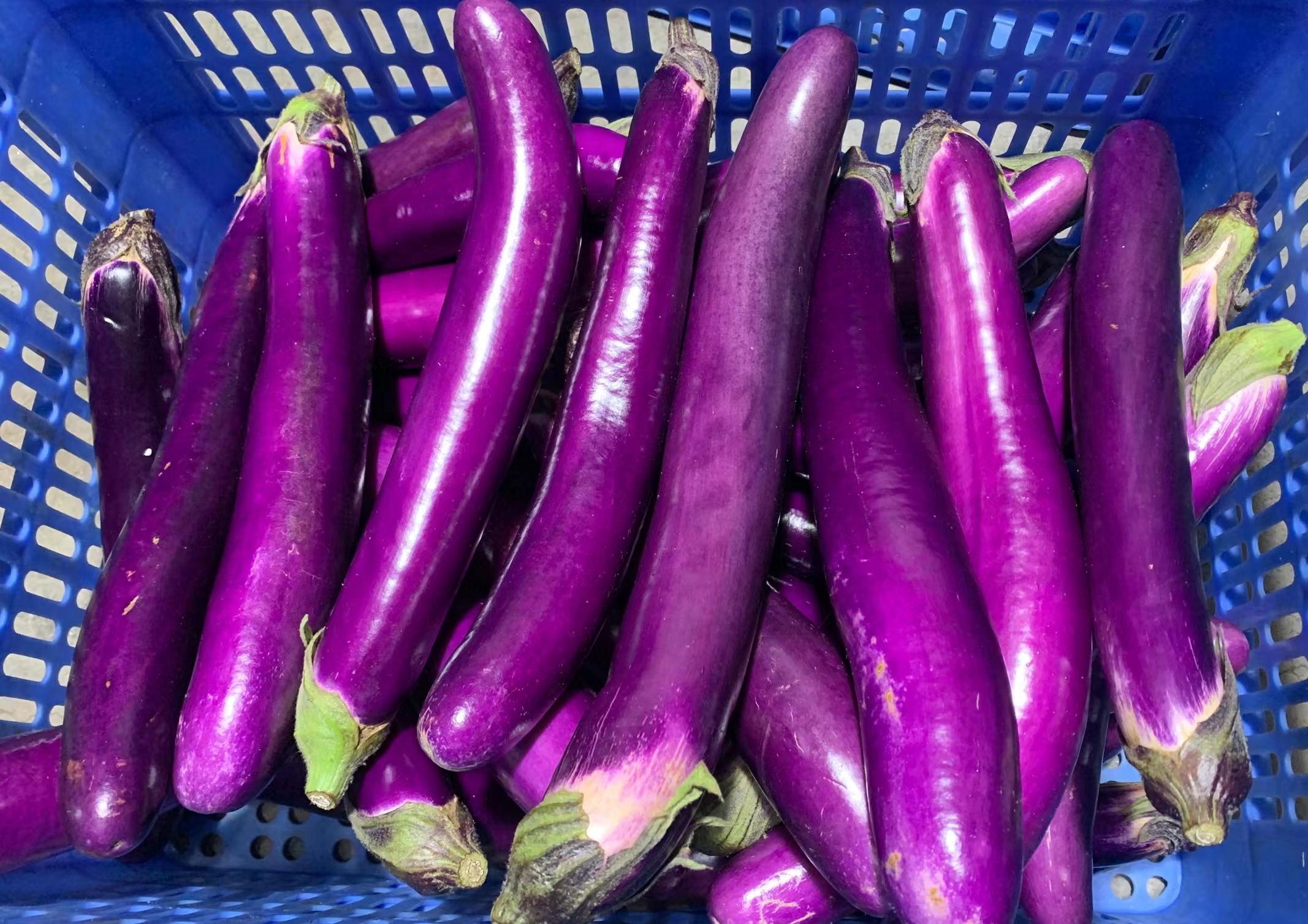 隨著宅經(jīng)濟(jì)發(fā)展生鮮配送受到重視嗎，生鮮配送新時(shí)代的生活方式