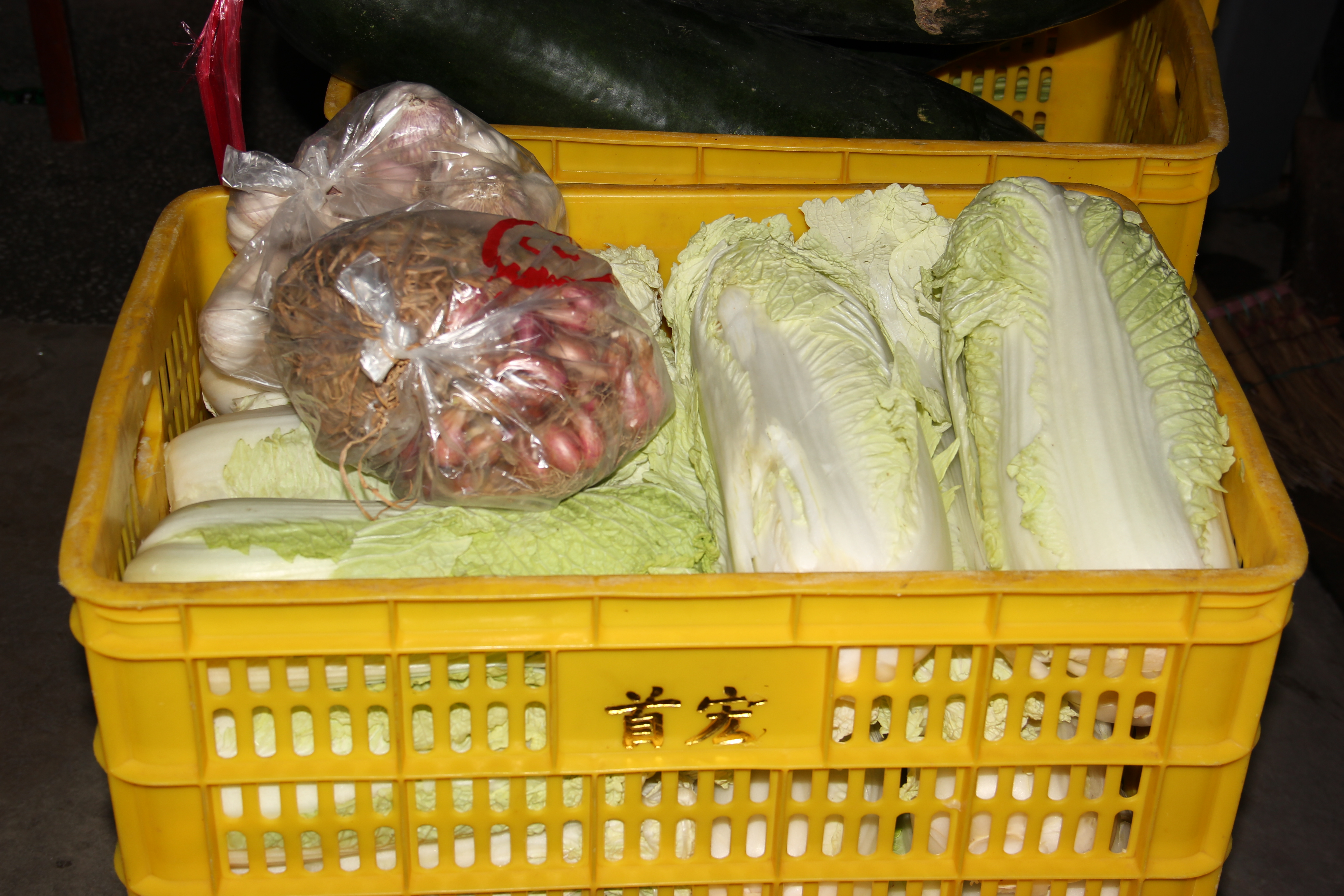 新鮮蔬菜配送讓我們一起吃得健康，新鮮蔬菜配送