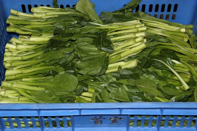 批發(fā)蔬菜配送有何好處，批發(fā)蔬菜配送