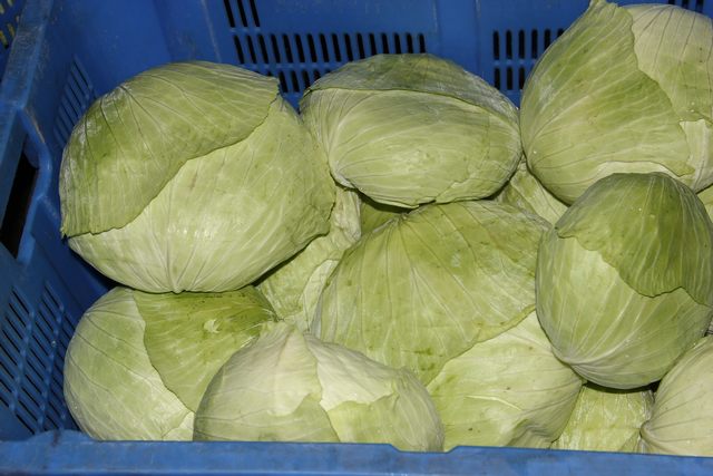 企業(yè)農(nóng)產(chǎn)品配送有何獨特之處，安全、可靠、便捷