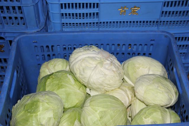 東莞膳食配送有何獨特之處，貼心的服務(wù)體驗