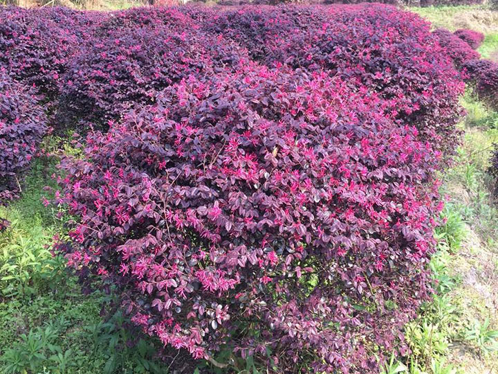 產(chǎn)品名稱3 