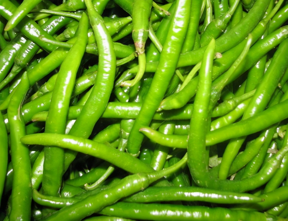 面對(duì)青椒你真的會(huì)挑選嗎？市場(chǎng)商販教你幾點(diǎn)，輕松區(qū)分辣和不辣