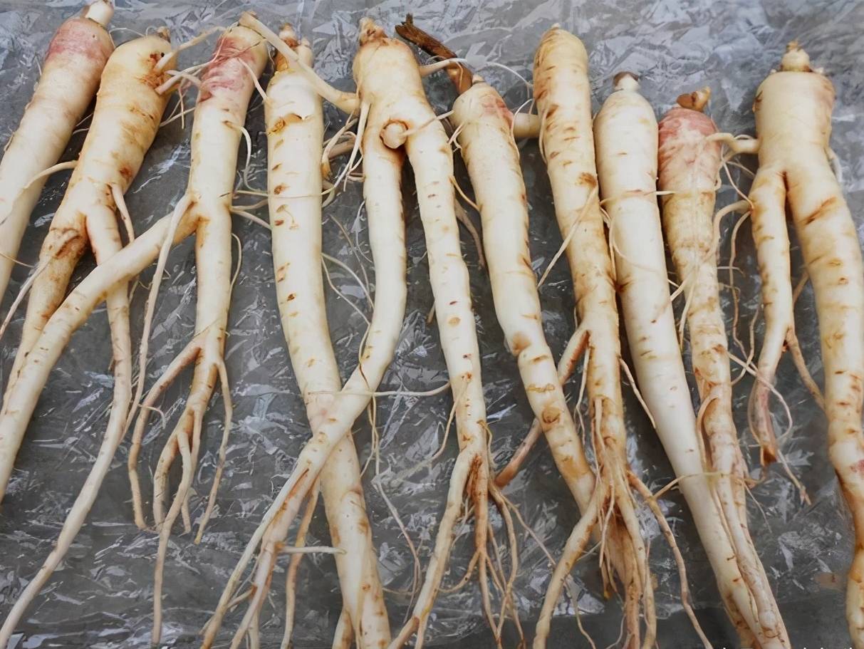 農(nóng)產(chǎn)品配送中心：桔梗分為食用和藥用，桔梗根做成的泡菜嗎？