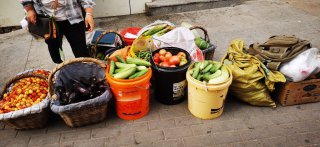 蔬菜的配送價格：路邊老人賣的水果蔬菜是自家產的么？