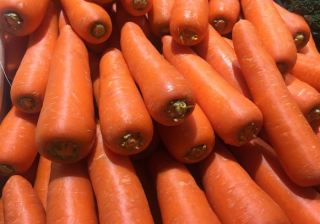 莞城區(qū)專業(yè)配送菜：對貓有益的蔬菜，最后一種最常用