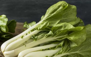 初秋建議多吃含有降脂營養(yǎng)素的應季蔬菜“小白菜”