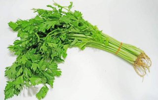 芹菜正確的三種采收方法，讓你的芹菜怎么吃也吃不完