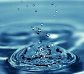 東莞蔬菜配送告訴您環(huán)境中的金屬可以通過飲食與飲水進入人體