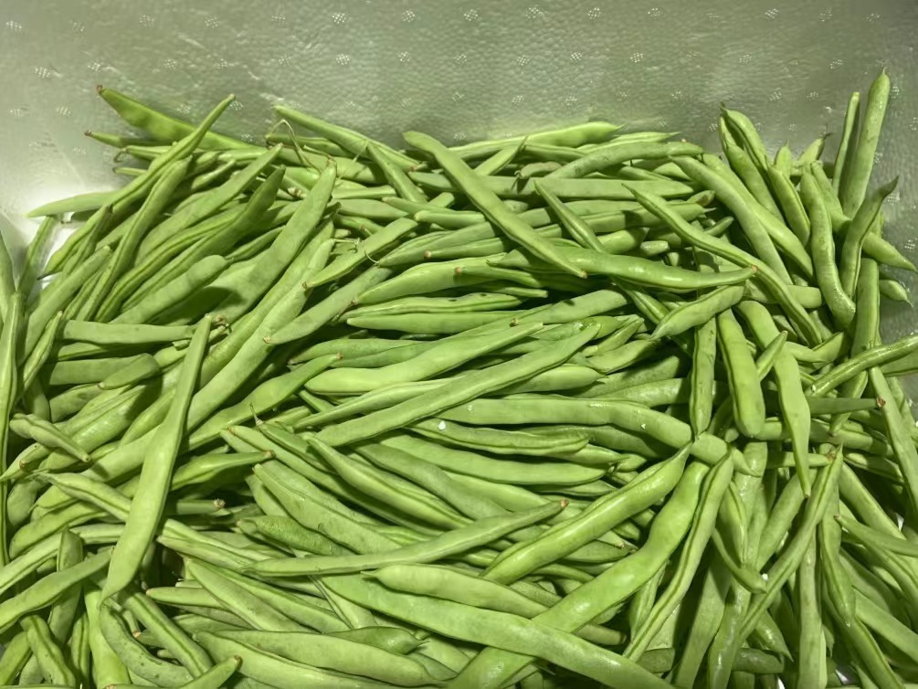 東莞如何配送食材，東莞配送食材