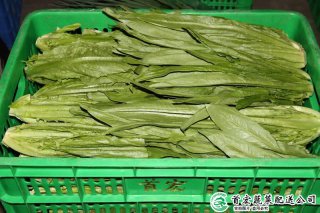 東莞市農(nóng)產(chǎn)品配送有限公司有哪些服務(wù)，東莞市農(nóng)產(chǎn)品配送有限公司