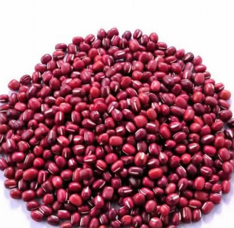 東莞菜籃子價格監(jiān)測表 東莞市2023年第32周市場價格監(jiān)測簡況